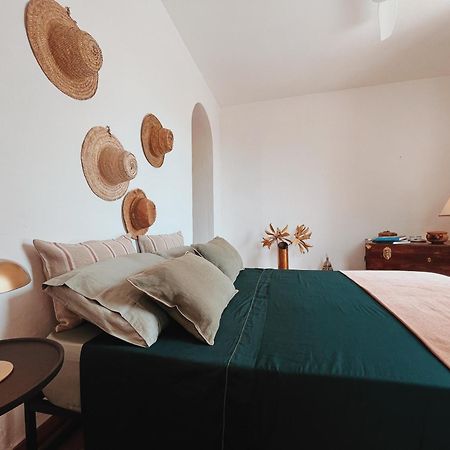 Il Cactus: una piccola oasi in paese Favignana Esterno foto